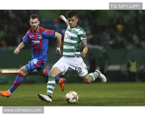 沙姆洛克与斯塔尔南的精彩对决分析与赛后点评